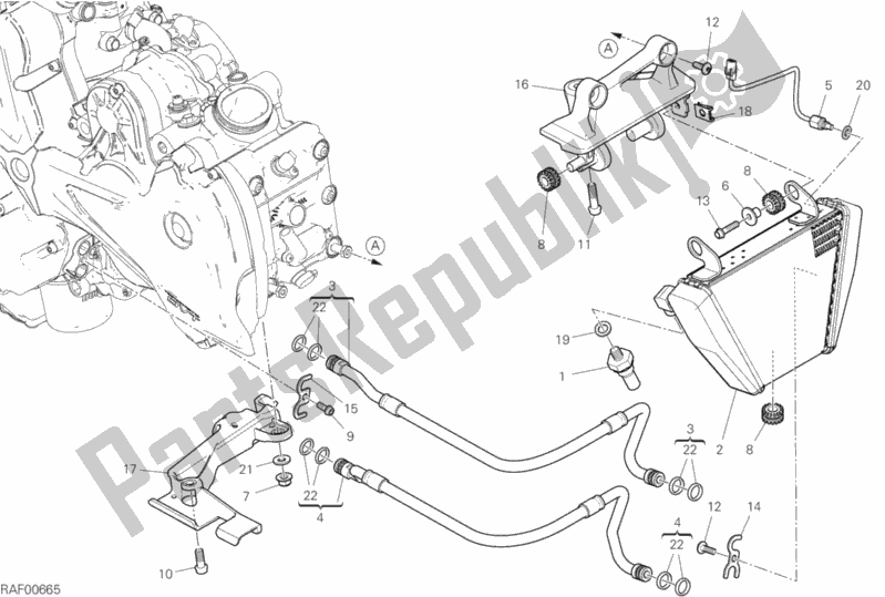 Tutte le parti per il Radiatore Dell'olio del Ducati Diavel 1260 S Thailand 2020
